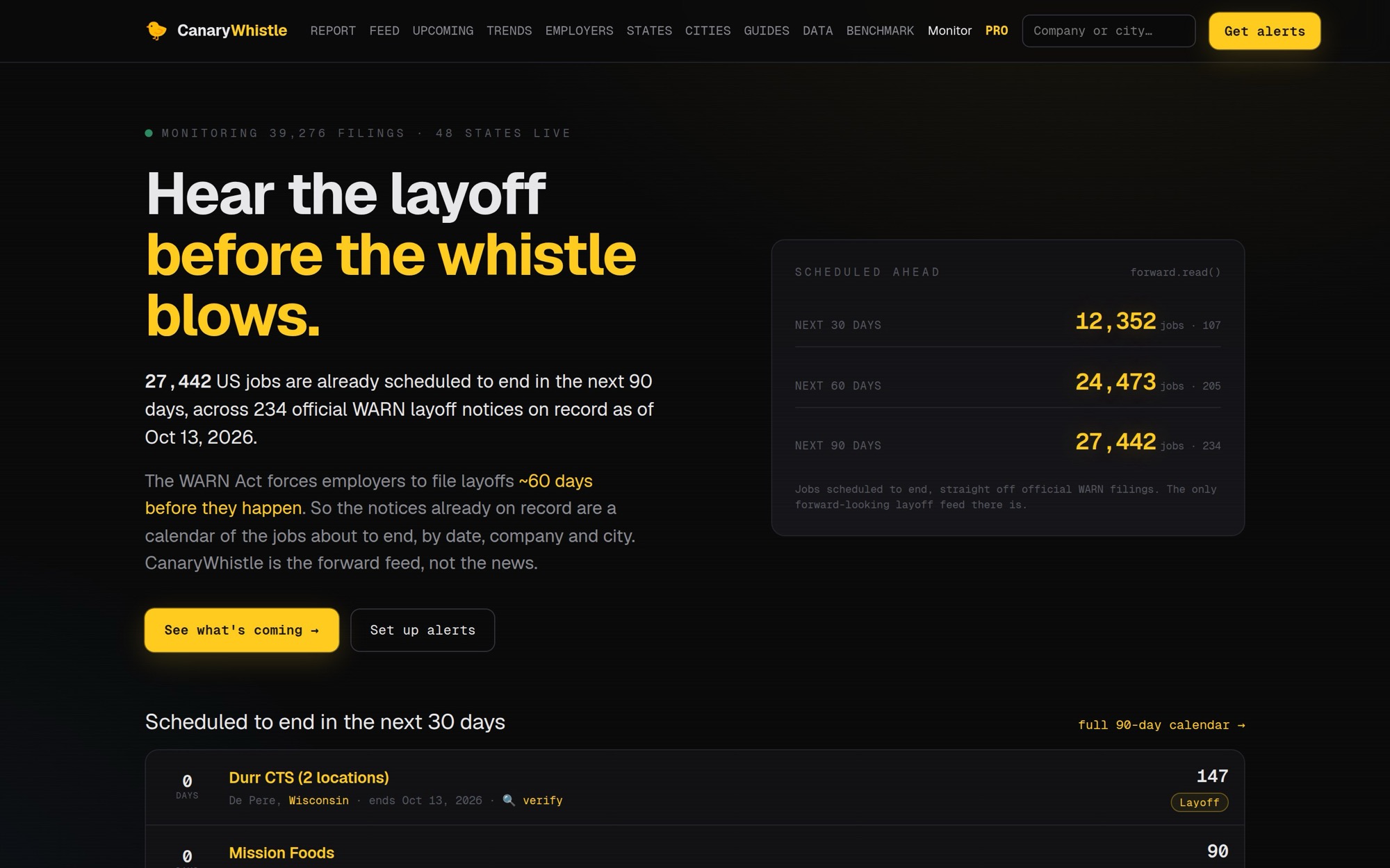 CanaryWhistle website, designed and built by Hire The Creatives